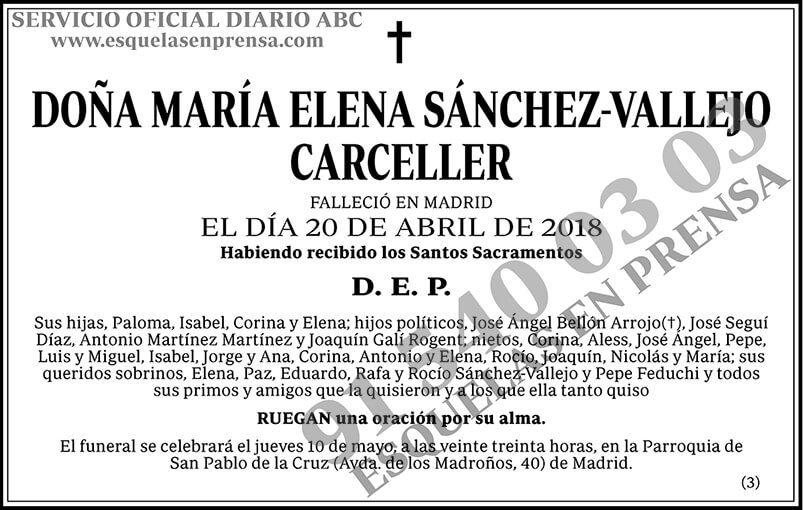 María Elena Sánchez-Vallejo Carceller